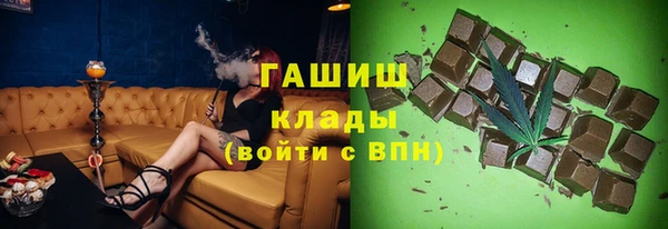крисы Новозыбков
