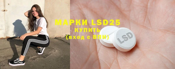 крисы Новозыбков