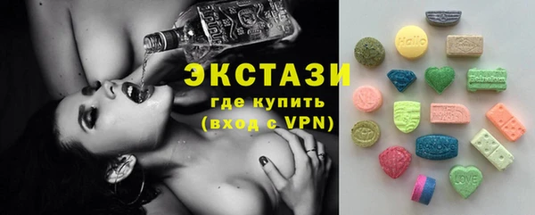 крисы Новозыбков