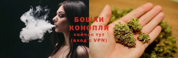 ALPHA PVP Новодвинск