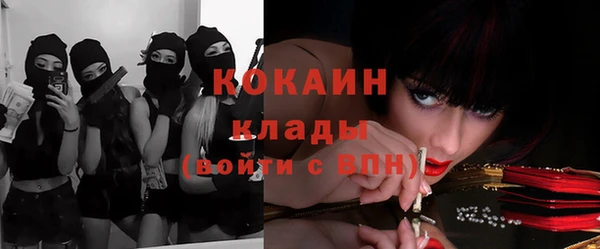 крисы Новозыбков