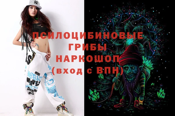 спиды Новокубанск