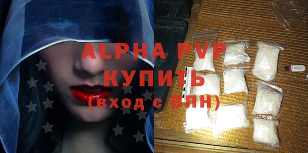 крисы Новозыбков