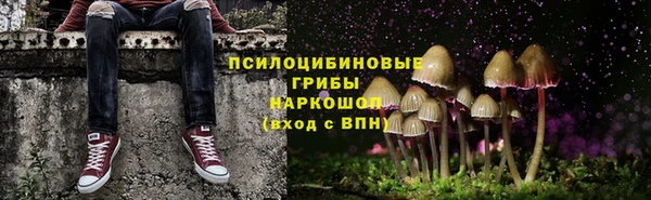 крисы Новозыбков