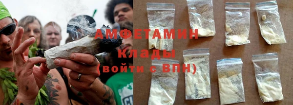 крисы Новозыбков