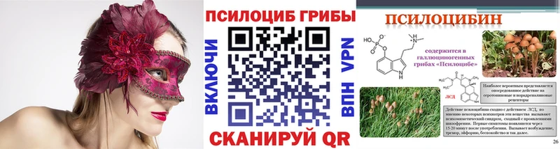 Псилоцибиновые грибы Cubensis Спас-Деменск